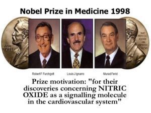 Chứng minh NO trên hệ tim mạch đạt giải Nobel y học