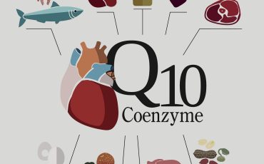 Coenzyme Q10 là gì? Tác dụng của Coenzyme Q10 đối với cơ thể 9 coenzym qq10 la gi